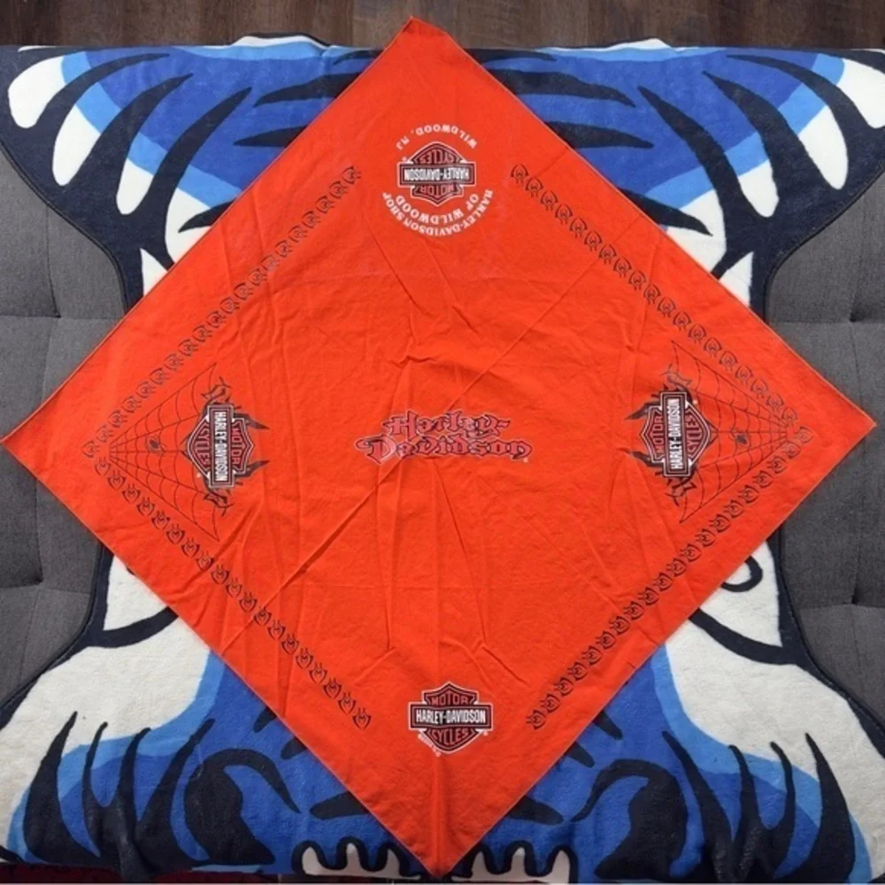 Y2K 04 VTG Harley-Davidson Spider and Web Bandana
